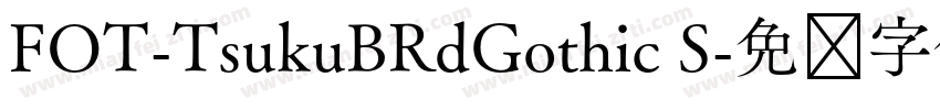 FOT-TsukuBRdGothic S字体转换